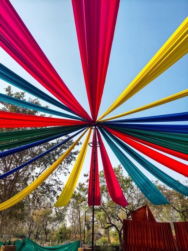 Atapi Wonderland, Ajwa, Vadodara, Gujarat — A Color Study in Chaos and Calm